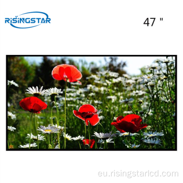 1000 Nits LCD modulua gidariarekin